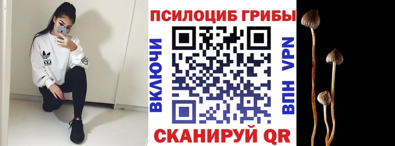 Галлюциногенные грибы Magic Shrooms  Петров Вал 